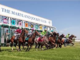 Image result for The Horse Racing Club