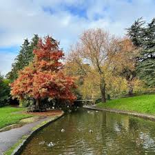 Image result for Victoria Park Bowling Club (Bath)