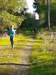 Image result for Solway Orienteers