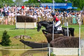 Image result for Hermitage Lakeside Badminton Club