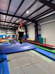 Image result for Dynamo Trampoline Academy