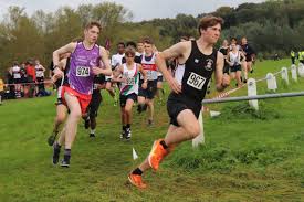 Image result for Bingley Harriers & Athletics Club