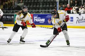 Image result for Cardiff Comets Ladies Ice Hockey