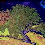 Earth As Art - Lena Delta, Russia