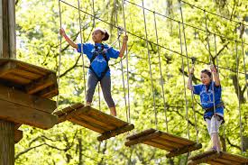 Image result for Go Ape! Dalby