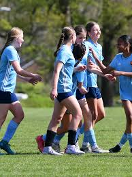 Image result for Haywards Heath Town Ladies Football Club