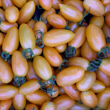 Afbeeldingsresultaat voor blushing yellow tomato