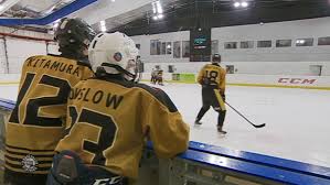 Image result for Bracknell Ice Skating Club