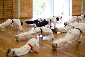 Image result for Springwood Karate