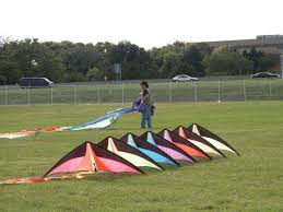 Image result for Baiter Power Kite