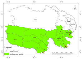 Attēlu rezultāti vaicājumam “Ochropsora ariae spores”