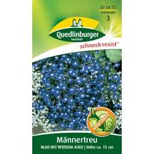 Image result for Männertreu