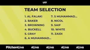 Image result for Laleham Village Ladies Cc