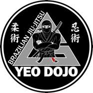 Image result for Bujinkan Truro Dojo
