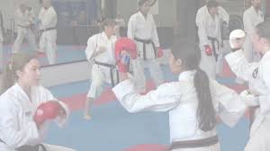 Image result for America's Best Karate Chandler