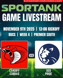 Image result for Cardiff Cobras