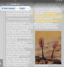 Attēlu rezultāti vaicājumam “Comatricha laxa macro”