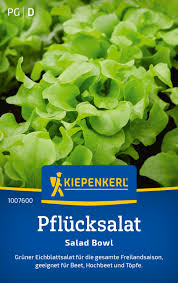 Image result for Pflücksalat
