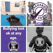 Image result for Norfolk Jikishin Ju Jitsu Club