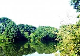 Image result for Lamb Angling Club