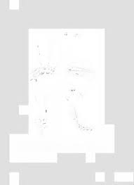 Attēlu rezultāti vaicājumam “Saelania glaucescens sporophyte”