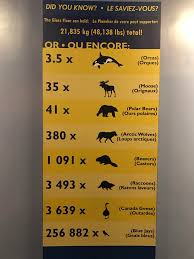 Image result for cn tower glass floor