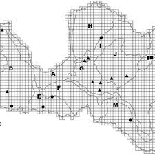 Attēlu rezultāti vaicājumam “Anomodon longifolius”