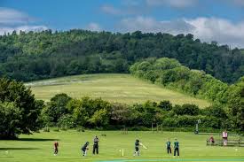 Image result for Steyning Cricket Club