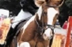 Image result for Farnley Tyas  BC