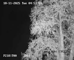 Image result for Cargreen Yacht Club Ltd