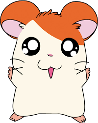 http://t0.gstatic.com/images?q=tbn:ANd9GcQJQ0Qtcv6e1qh1tpj0OOZ_hSE9Br-Sv_yRk6vQUquoKKQi0OMFYIdlwhH7