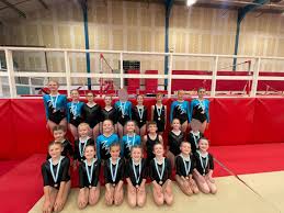 Image result for Amber Valley Gymnastics Club