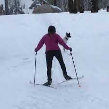 Image result for Scandinavian slope and cross country skiing