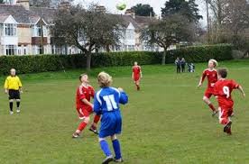 Image result for Braunton Football Club