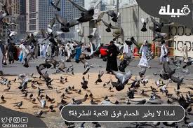 Image result for ‫بلاد م%‬‎