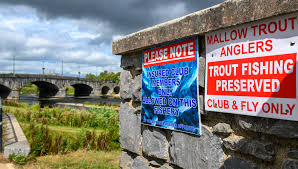 Image result for Cobham Court Angling Club