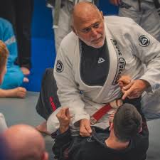 Image result for British Jiu-Jitsu School