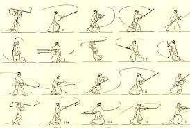 Image result for White Oak Aikido Reading