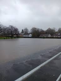 Image result for Island Bohemian Bowls Club