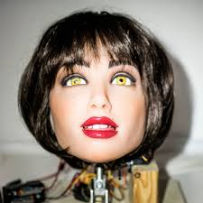 Image result for RealDoll