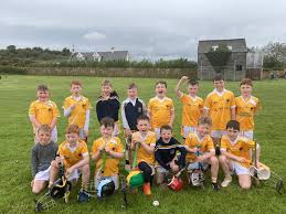 Image result for An Riocht Gaa Club