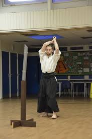 Image result for Kyoku Kenjutsu Kai