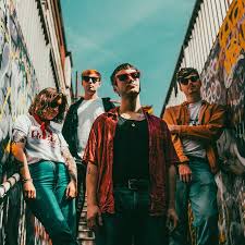 Image result for Sarpa salpa