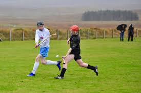Image result for Skye Camanachd