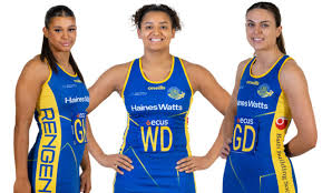 Image result for Ecs Predators Netball Club