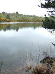 Image result for The Chobham Common Riders Association