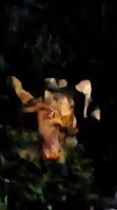 Image result for Old Trafford Bowling Club