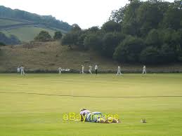 Image result for Bronwydd Cricket Club