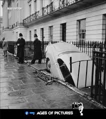 Image result for Regent Gray 1984 Jaguar