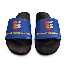 Image result for Sandwich Town Cricket Club